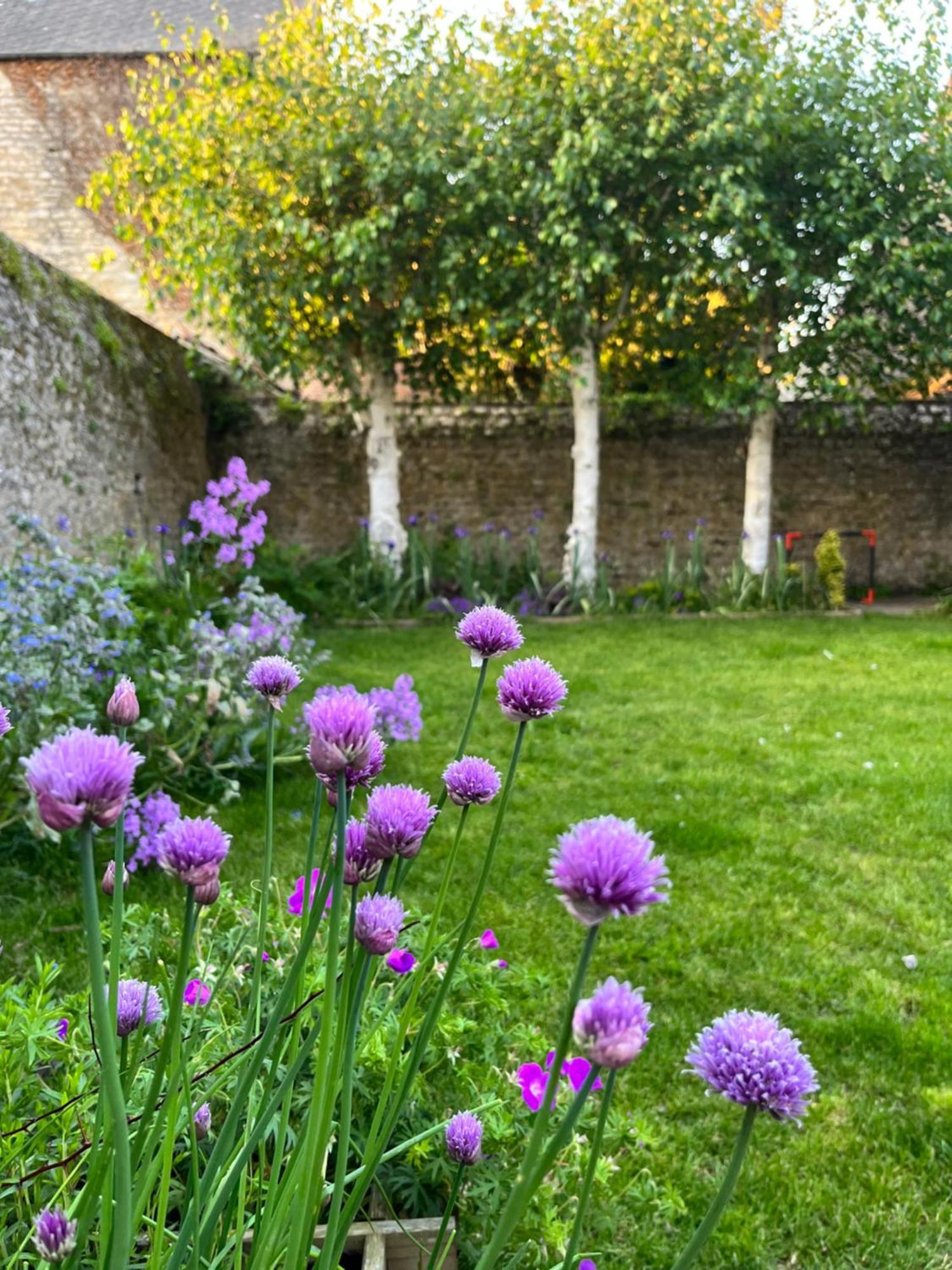 Maison Chaleureuse Avec Jardin - Pause Normande Sées Eksteriør billede