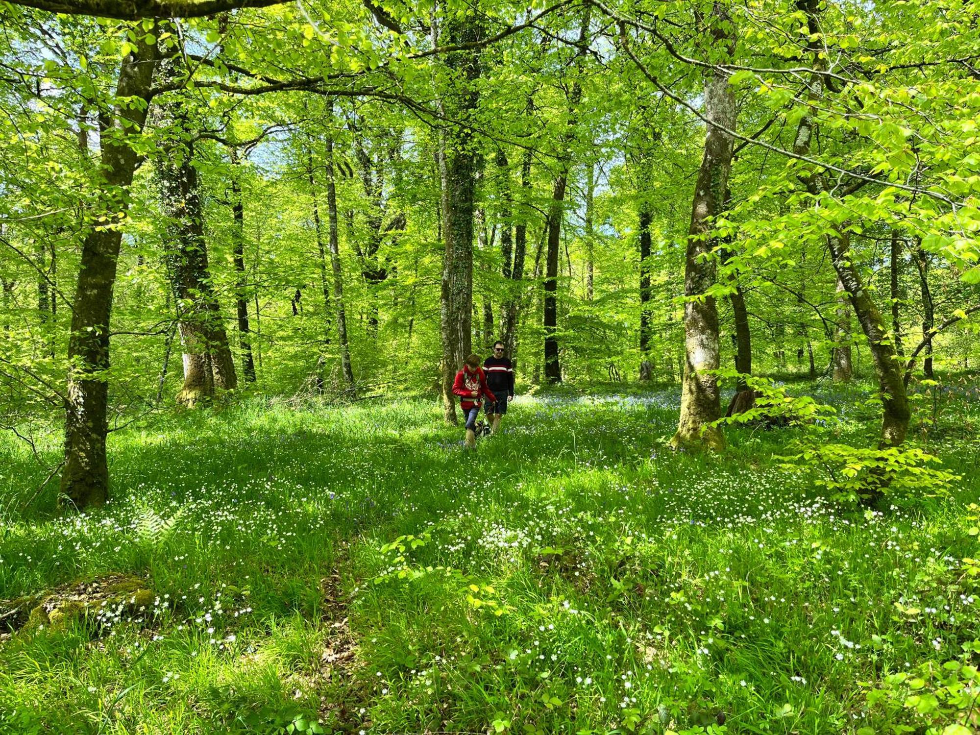 Maison Chaleureuse Avec Jardin - Pause Normande Sées Eksteriør billede